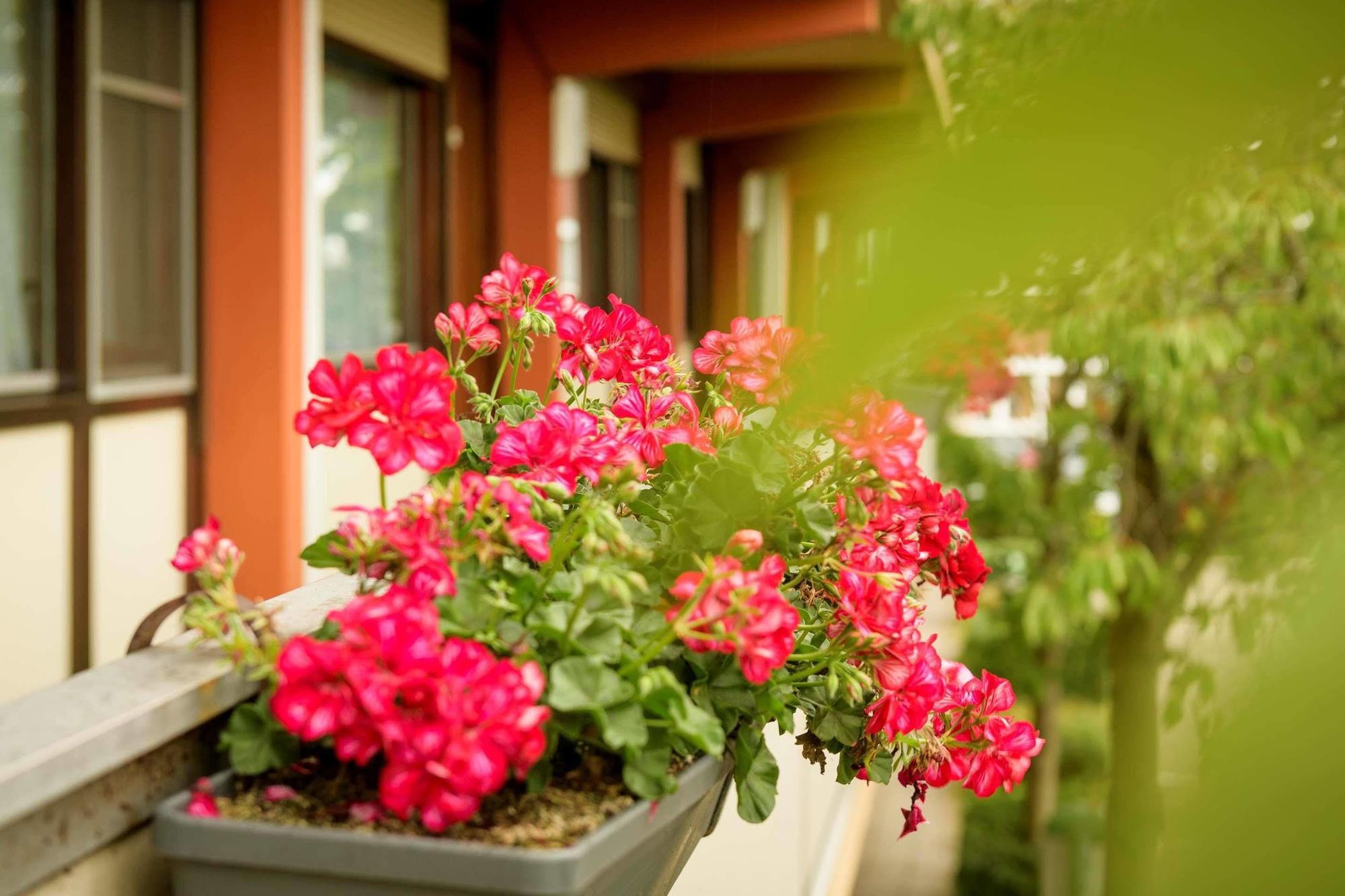 Campanile Hotel & Restaurant ליוורדן מראה חיצוני תמונה